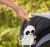 FISHER-PRICE FGH91 zawieszka z grzechotką do wózka, fotelika 37 cm PANDA