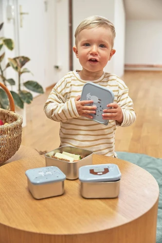 LASSIG Snackbox stalowe PUDEŁKA NA PRZEKĄSKI x3
